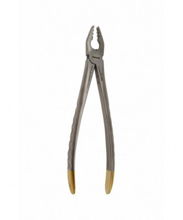 Premium Deep Gripping Extracting Forceps Upper Anterior