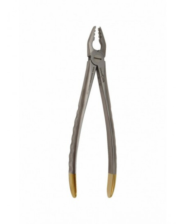 Premium Deep Gripping Extracting Forceps Upper Anterior