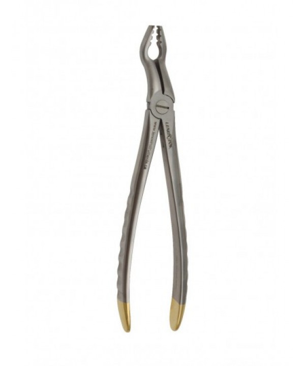 Deep Gripping Atraumatic Universal Extraction Forceps Upper Molars