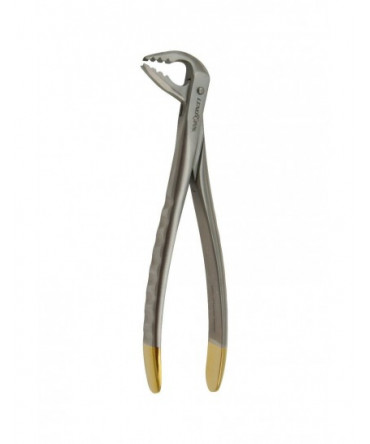 Deep Gripping Atraumatic Extracting Forceps - Lower Anterior