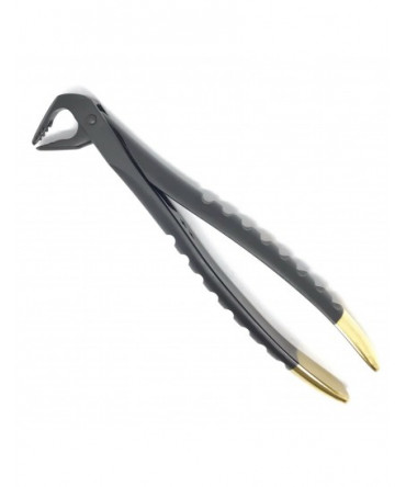 Deep Gripping Atraumatic Extraction Forceps, Lower Anterior, BLACK & GOLD Series