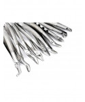 Extracting Forceps Set of 10