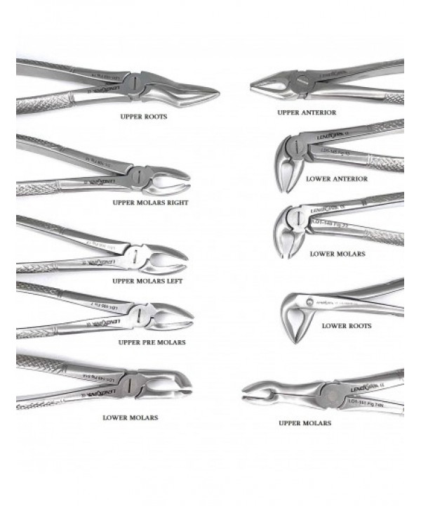 Extracting Forceps Set of 10