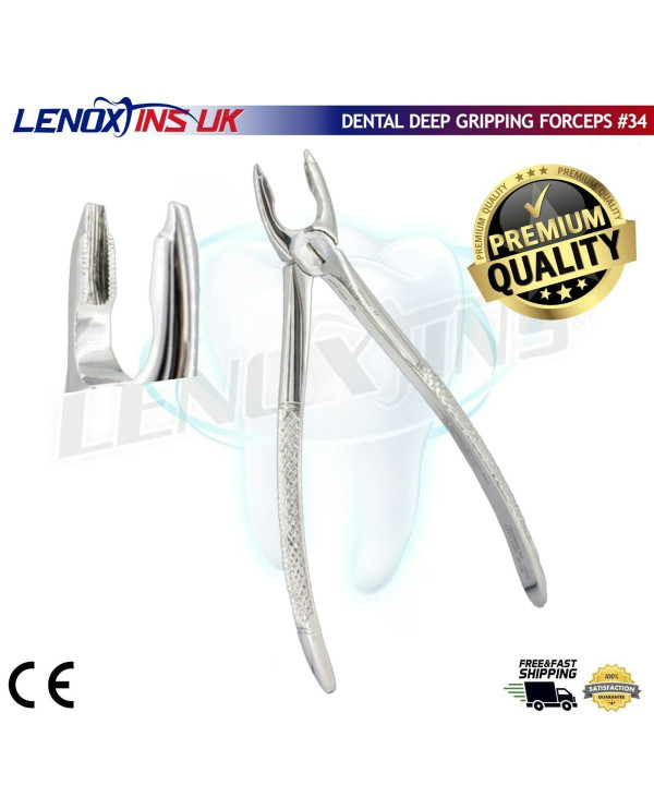 Deep Gripping Forceps # 34 Upper Incisors and Premolars Deep-gripping