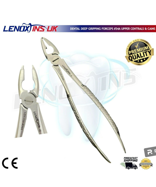 Deep Gripping Forceps # 34A Upper Centrals / Cains Deep-gripping