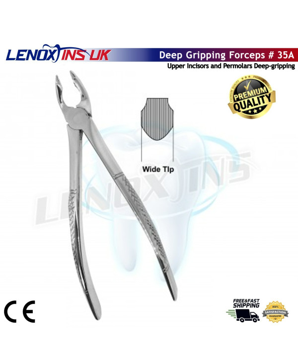 Deep Gripping Forceps # 35A Upper Incisors and Permolars Deep-gripping