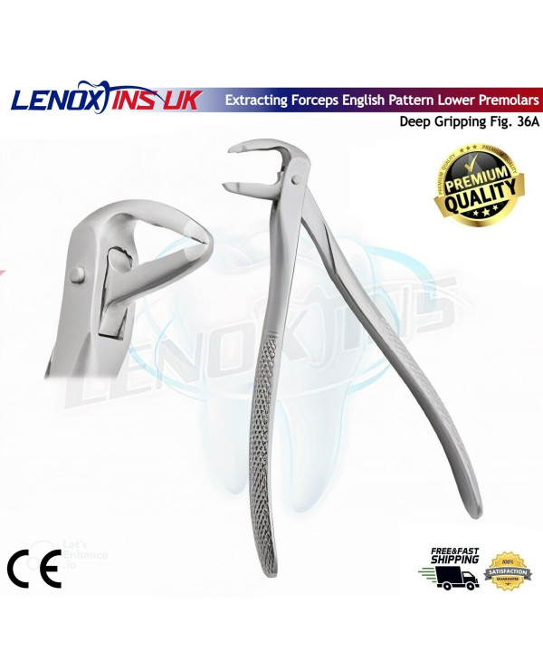 Deep Gripping Forceps # 36A Lower Premolars Deep-gripping