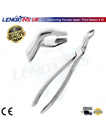 Deep Gripping Forceps # 67 Upper Third Molars