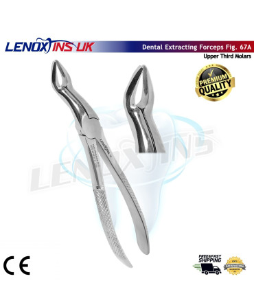 Deep Gripping Forceps # 67A Upper Third Molars