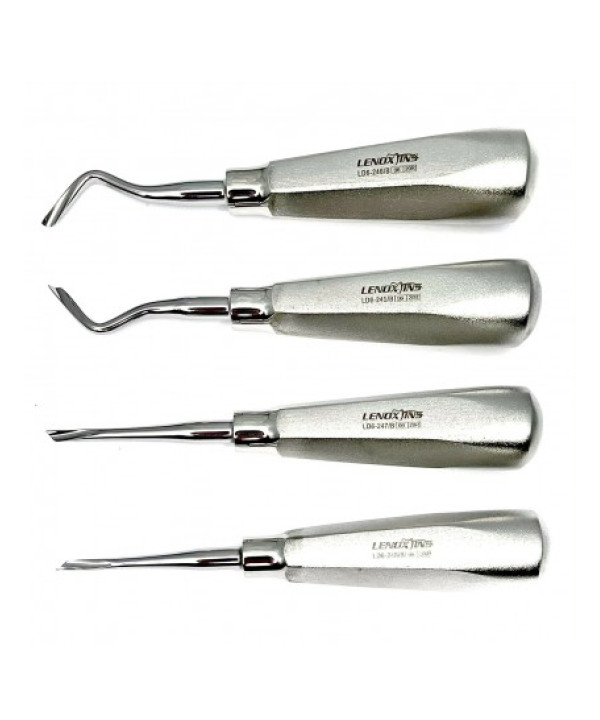 Root Fragment Removal Elevators Set Of 4,Twist Style