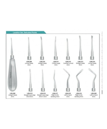 Dental Luxating Elevators Set Of 13pcs