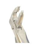 Deep Gripping Forceps # 36 Lower Premolars Deep-gripping