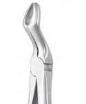 Deep Gripping Forceps # 67A Upper Third Molars