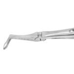 Dental Extracting Forceps Lower Roots, Micro Serrated Edges - Precision Dental Surgical Instrument - Image 2