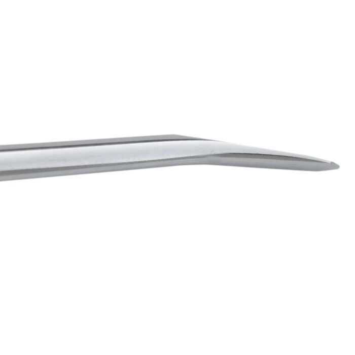 Dental Luxating Elevator 5C (Curved 5mm) - Premium Dental Surgical Tool - Image 4