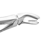 Extracting Forceps Fig. 20 Lower Third Molars - Premium Dental Surgical Instrument - Image 4