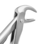 Extracting Forceps #74N Lower Roots - Premium Dental Surgical Instrument - Image 6