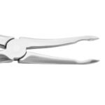 Extracting Forceps #44 Upper Roots - Premium Dental Surgical Instrument - Image 3