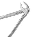 Extracting Forceps #33 Lower Roots - Premium Dental Surgical Instrument - Image 2
