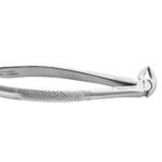 Extracting Forceps #33 Lower Roots - Premium Dental Surgical Instrument - Image 6