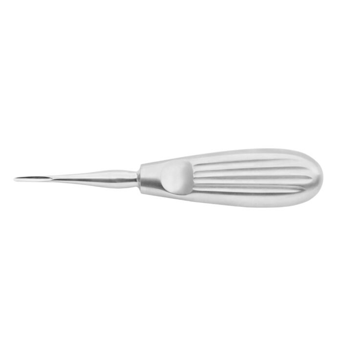 Root Elevators Bein 2.5MM - Precision Dental Surgical Tool - Image 3