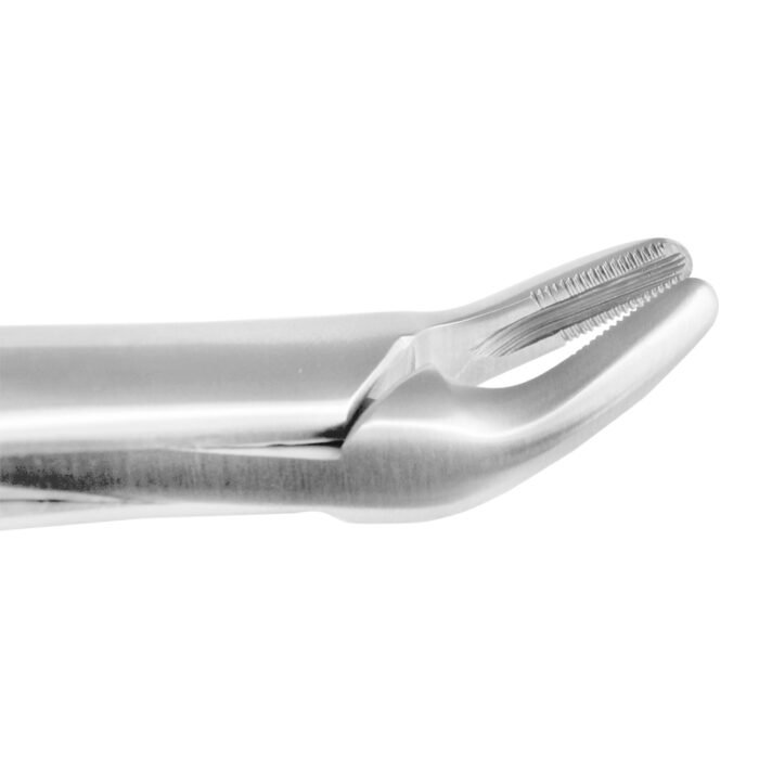 Apical Upper Universal Forceps Fig 150 - Precision Dental Surgical Instrument - Image 6