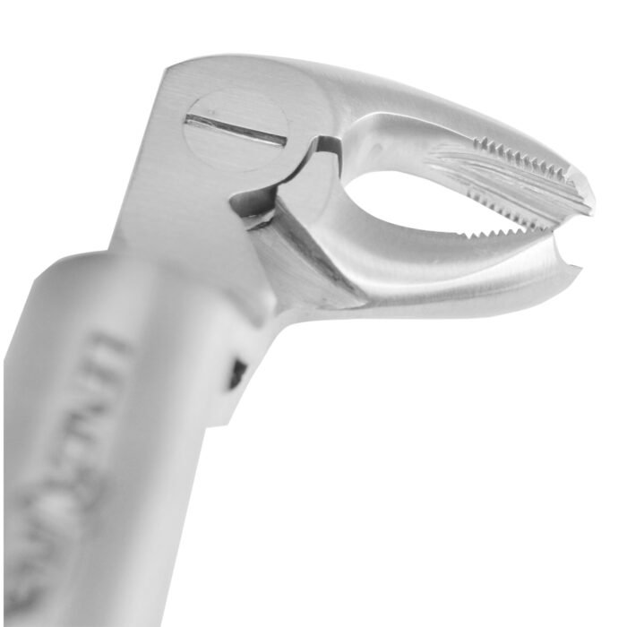 Extracting Forceps Routurier (# 22 1/2 R) Lower Molars and Wisdoms, Right - Premium Dental Surgical Instrument - Image 4