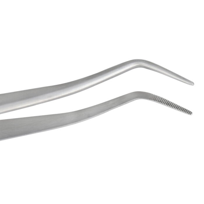 Meriam Cotton Forceps 16cm - Precision Dental Surgical Instrument - Image 4