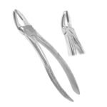 Extracting Forceps Fig. 19 Upper Third Molars - Premium Dental Surgical Instrument