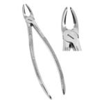 Extracting Forceps Fig. 21 Lower Molars - Premium Dental Surgical Instrument