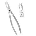 Extracting Forceps #79 Lower Third Molars - Premium Dental Surgical Instrument