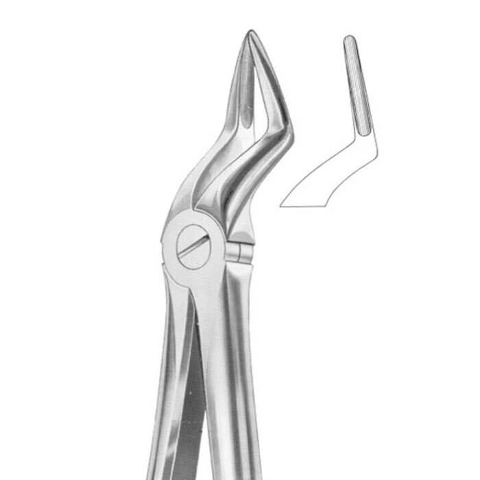 Extracting Forceps #51A Upper Roots - Premium Dental Surgical Instrument - Image 1