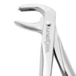Extracting Forceps #73 Lower Molars - Premium Dental Surgical Instrument - Image 2
