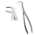 Extracting Forceps #73 Lower Molars - Premium Dental Surgical Instrument