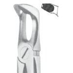 Deep Gripping Forceps #79N