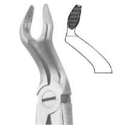 Deep Gripping Forceps #67 Upper Third Molars - Premium Dental Surgical Instrument