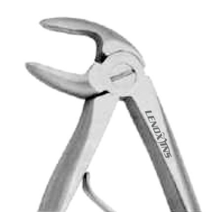 Baby Extracting Forceps English Pattern Klein #6 Pedodontic Lower Molars, Spring Handle - Premium Dental Surgical Instrument