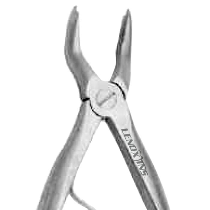 Baby Extracting Forceps English Pattern Klein #51S Pedodontic Upper Root - Premium Dental Surgical Instrument - Image 1
