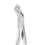 Extracting Forceps NEVIUS