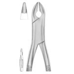 Extracting Forceps # 99C