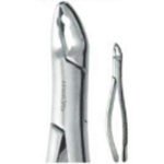 Extracting Forceps