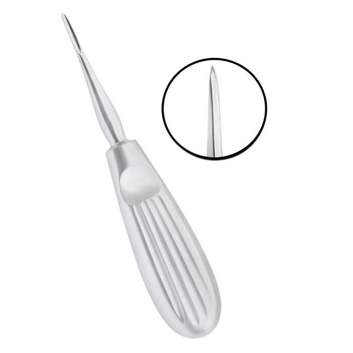 Root Elevators Bein 2.5MM - Precision Dental Surgical Tool - Image 1