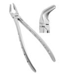 Deep Gripping Extracting Forceps Universal Lower Premolars - Premium Dental Surgical Instrument