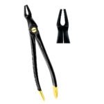 Deep Gripping Atraumatic Extraction Forceps, Upper Molars BLACK & GOLD - Premium Dental Surgical Instrument