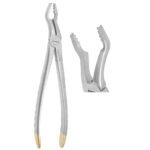 Deep Gripping Atraumatic Universal Extraction Forceps Upper Molars - Precision Dental Surgical Instrument