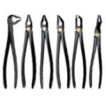 Deep Gripping Extracting Forceps Set of 6 - Premium Dental Extraction Instrument Kit