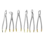 Prime Universal Atraumatic Extracting Set Deep Gripping, Set of 6 - Precision Dental Surgical Tool Kit