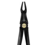 Deep Gripping Atraumatic Extraction Forceps, Upper Molars BLACK & GOLD - Premium Dental Surgical Instrument - Image 2