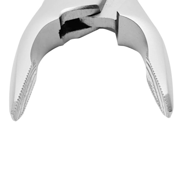Extracting Forceps Fig. 1 Upper Anterior - Premium Dental Surgical Instrument - Image 3