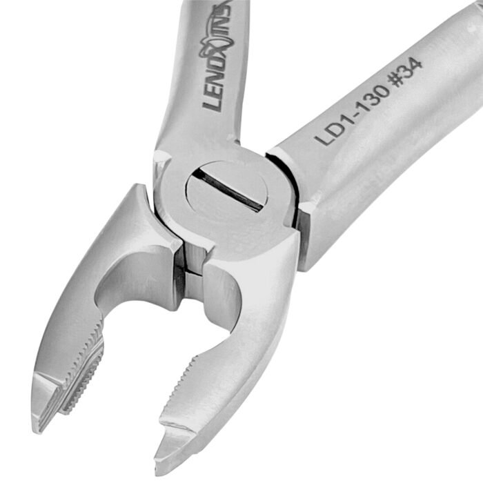 Deep Gripping Forceps #34 Upper Incisors and Premolars - Premium Dental Surgical Instrument - Image 4